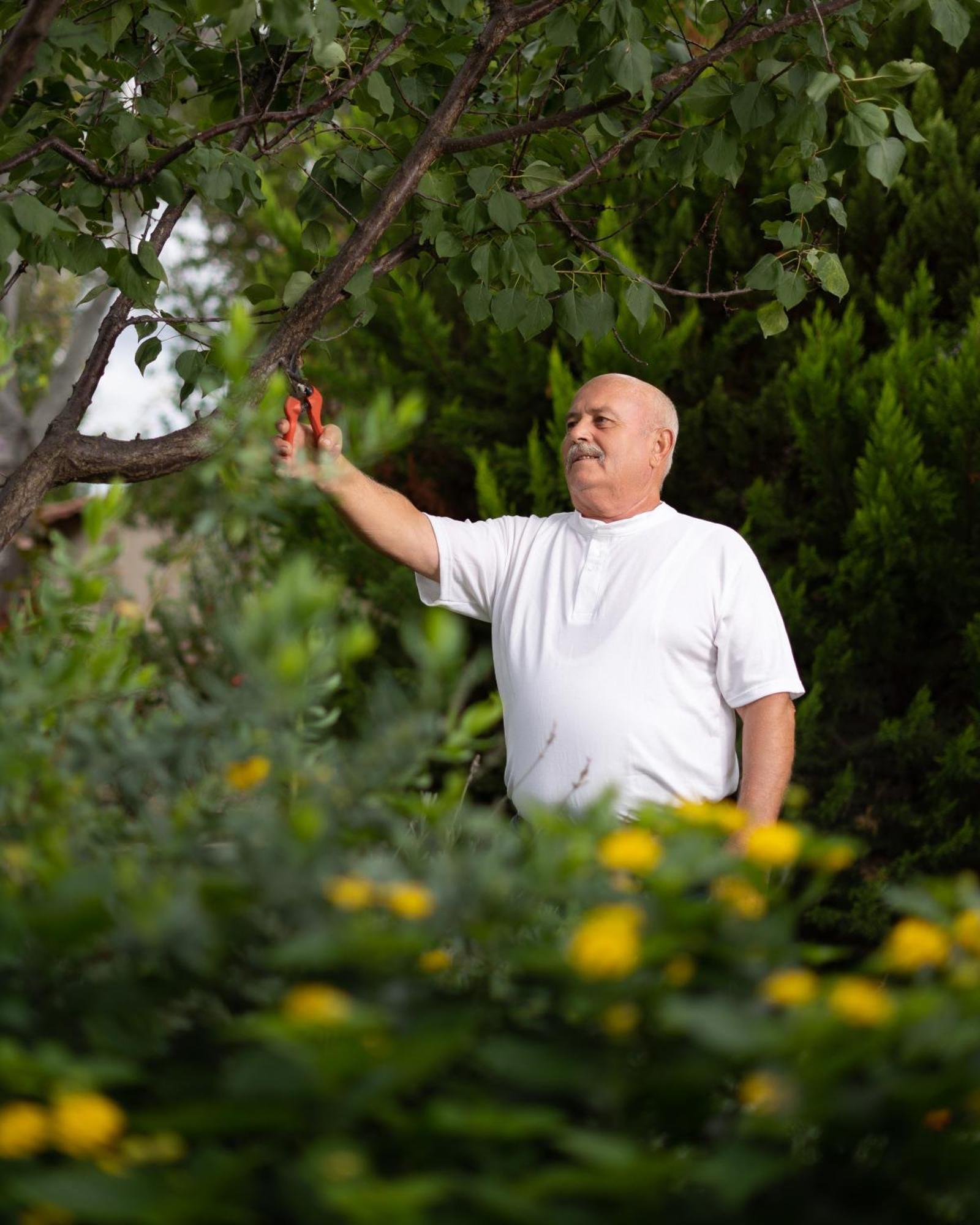 Petrino Eco Village Afytos Zewnętrze zdjęcie